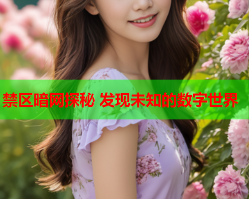 禁区暗网探秘 发现未知的数字世界