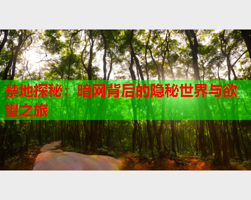 禁地探秘：暗网背后的隐秘世界与欲望之旅