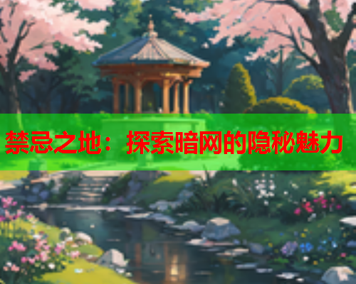禁忌之地：探索暗网的隐秘魅力
