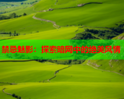 禁忌魅影：探索暗网中的绝美风情