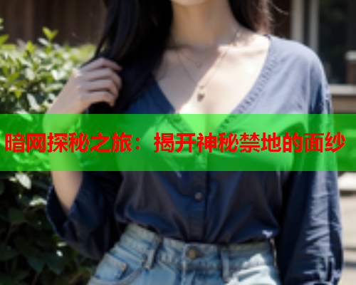 暗网探秘之旅：揭开神秘禁地的面纱