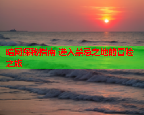 暗网探秘指南 进入禁忌之地的冒险之旅