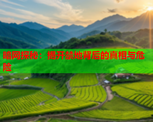 暗网探秘：揭开禁地背后的真相与危险