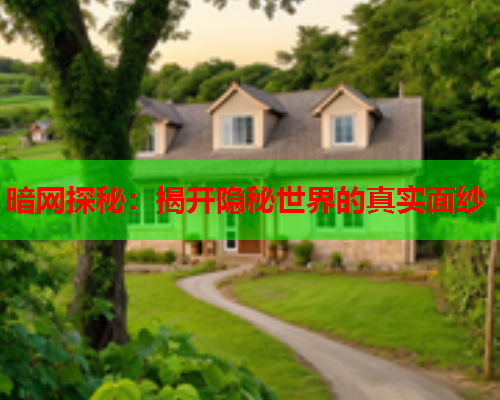 暗网探秘：揭开隐秘世界的真实面纱