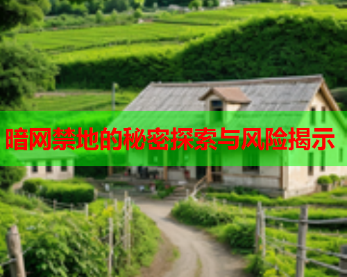 暗网禁地的秘密探索与风险揭示