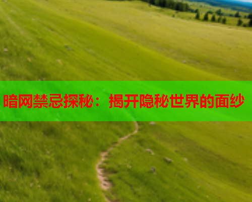 暗网禁忌探秘：揭开隐秘世界的面纱