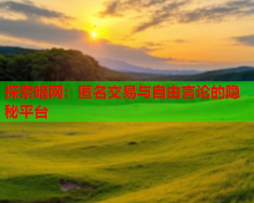 探索暗网：匿名交易与自由言论的隐秘平台