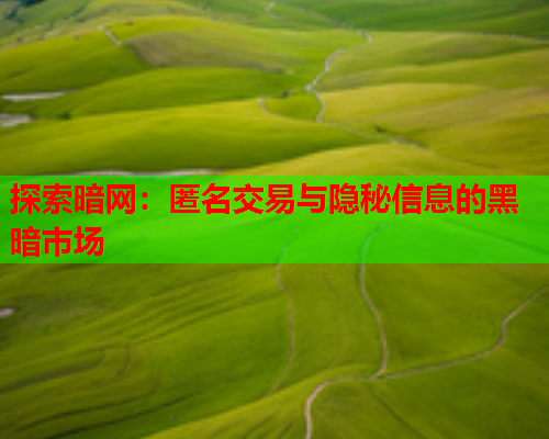 探索暗网：匿名交易与隐秘信息的黑暗市场