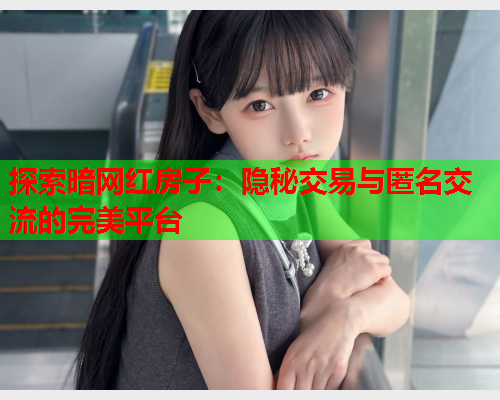 探索暗网红房子：隐秘交易与匿名交流的完美平台
