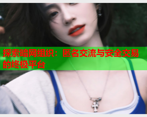 探索暗网组织：匿名交流与安全交易的终极平台