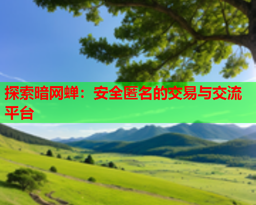 探索暗网蝉：安全匿名的交易与交流平台