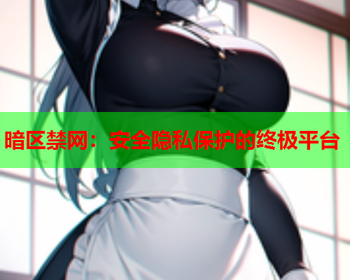 暗区禁网：安全隐私保护的终极平台