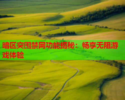 暗区突围禁网功能揭秘：畅享无阻游戏体验