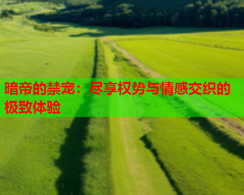 暗帝的禁宠：尽享权势与情感交织的极致体验