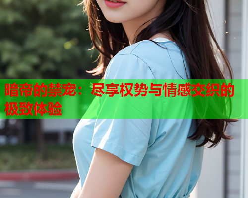 暗帝的禁宠：尽享权势与情感交织的极致体验