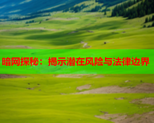 暗网探秘：揭示潜在风险与法律边界