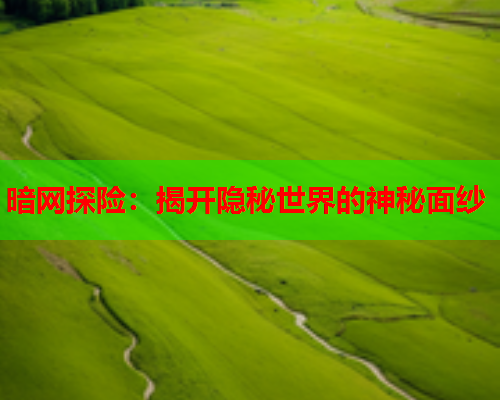 暗网探险：揭开隐秘世界的神秘面纱
