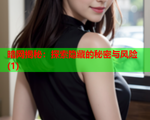 暗网揭秘：探索隐藏的秘密与风险(1)