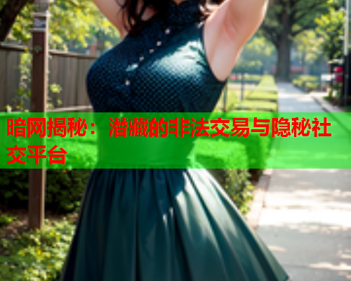 暗网揭秘：潜藏的非法交易与隐秘社交平台