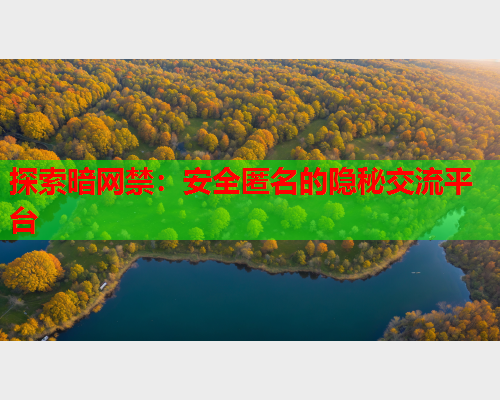 探索暗网禁：安全匿名的隐秘交流平台