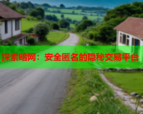 探索暗网：安全匿名的隐秘交易平台