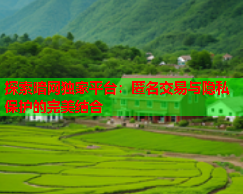 探索暗网独家平台：匿名交易与隐私保护的完美结合