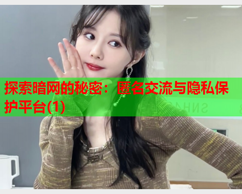 探索暗网的秘密：匿名交流与隐私保护平台(1)