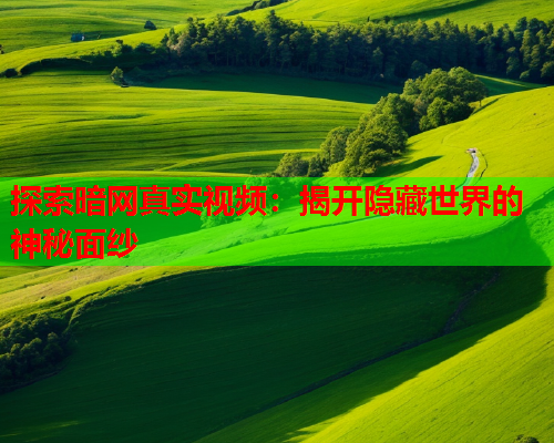 探索暗网真实视频：揭开隐藏世界的神秘面纱