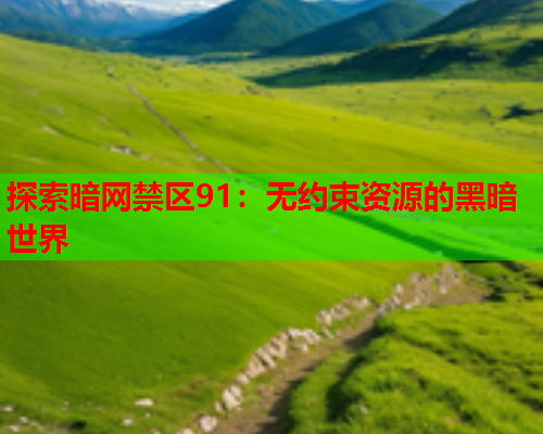 探索暗网禁区91：无约束资源的黑暗世界