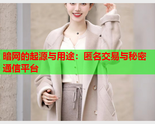 暗网的起源与用途：匿名交易与秘密通信平台