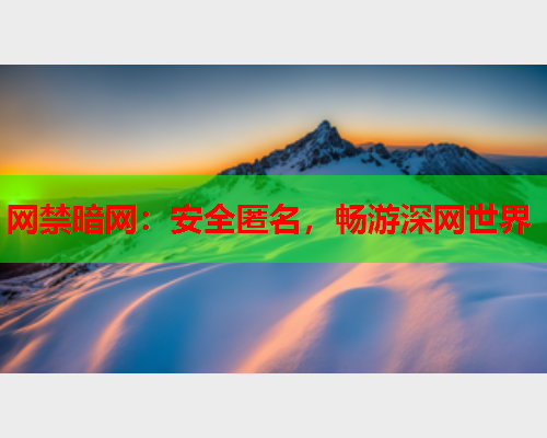 网禁暗网：安全匿名，畅游深网世界