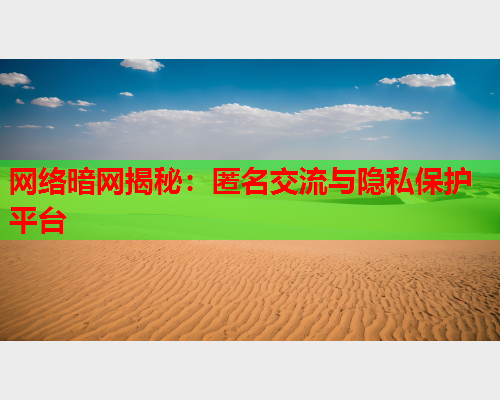 网络暗网揭秘：匿名交流与隐私保护平台