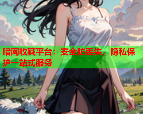 暗网收藏平台：安全防丢失，隐私保护一站式服务