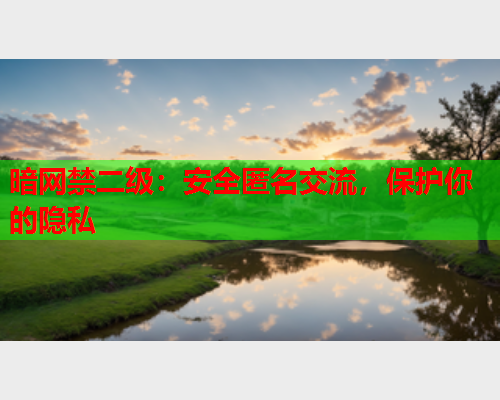 暗网禁二级：安全匿名交流，保护你的隐私