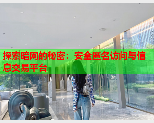 探索暗网的秘密：安全匿名访问与信息交易平台