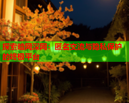 探索暗网深网：匿名交流与隐私保护的终极平台