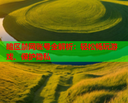 暗区禁网账号全解析：轻松畅玩游戏、保护隐私