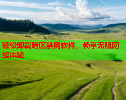 轻松卸载暗区禁网软件，畅享无阻网络体验