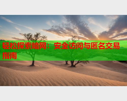 轻松探索暗网：安全访问与匿名交易指南